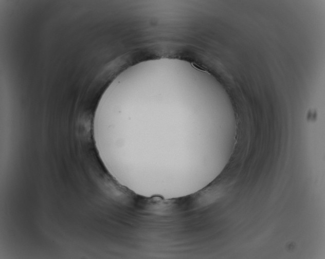 X0000102020288200808081756