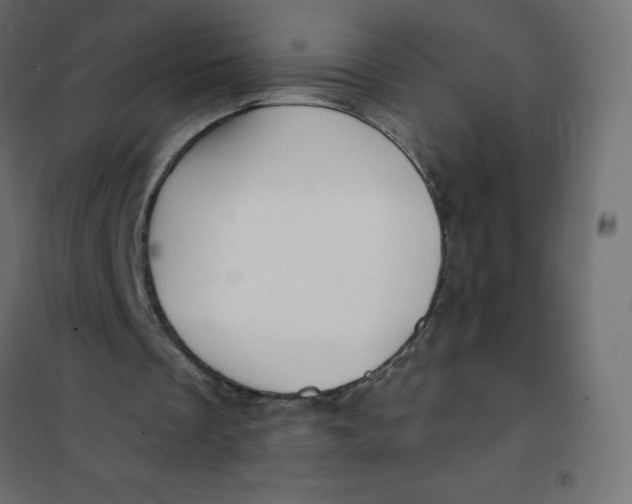 X0000102020289200808081755
