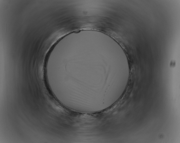 X0000102020290200808081755
