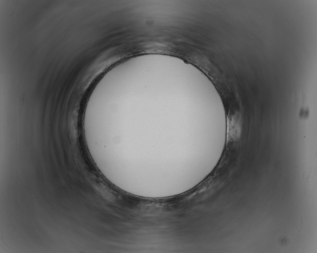 X0000102020291200808081755