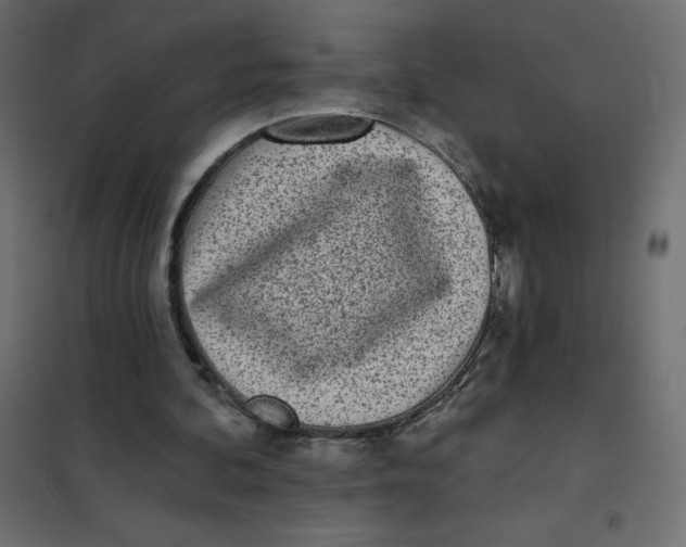 X0000102020292200808081755