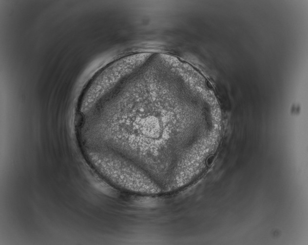 X0000102020293200808081755
