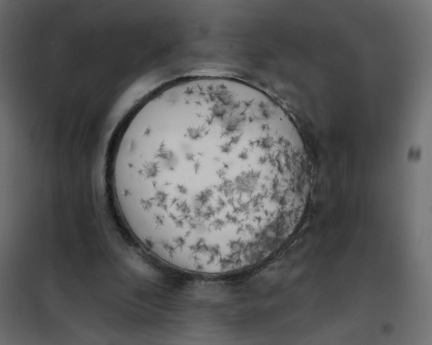 X0000102020296200808081755