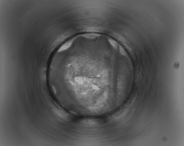 X0000102020299200808081755