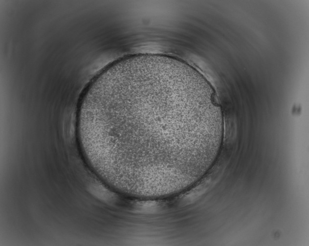 X0000102020301200808081755