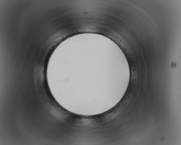 X0000102020302200808081755