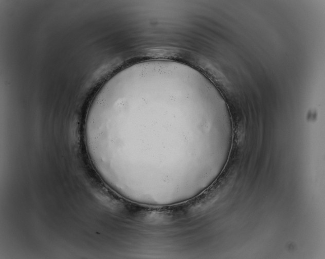 X0000102020303200808081755
