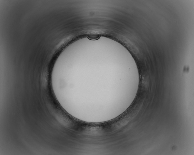 X0000102020304200808081755