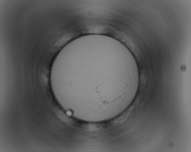 X0000102020305200808081755