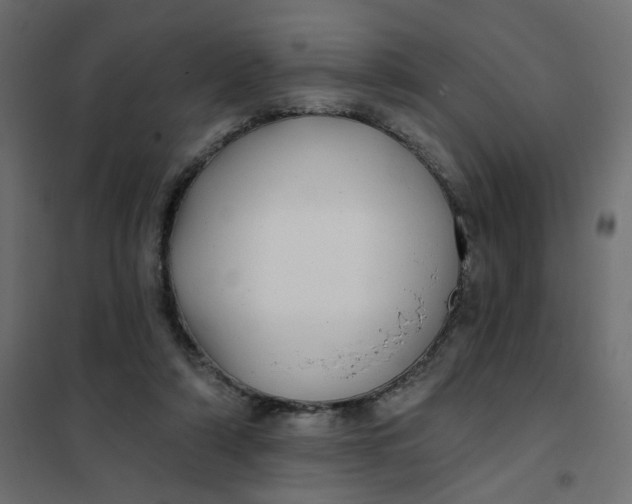 X0000102020306200808081755