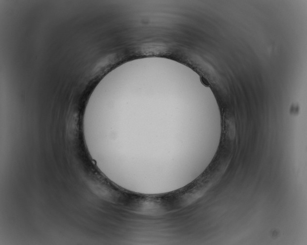 X0000102020308200808081755