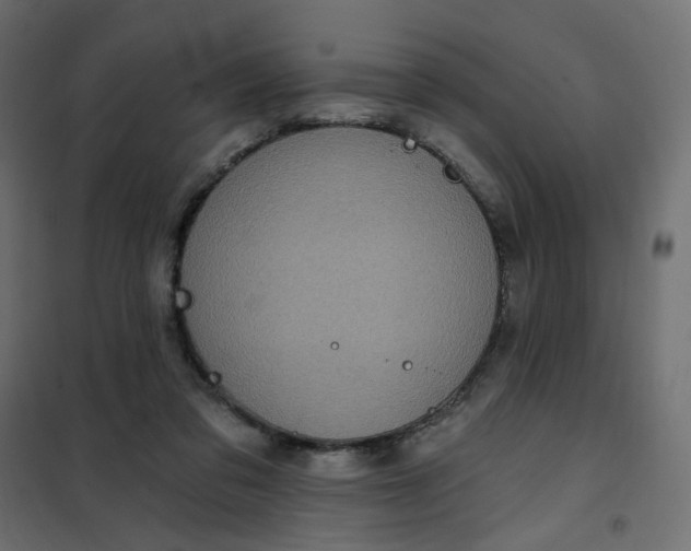 X0000102020309200808081755