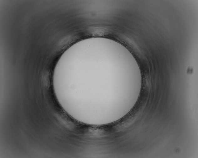 X0000102020311200808081755