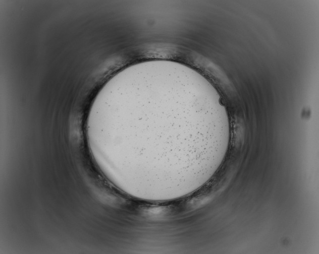 X0000102020312200808081755
