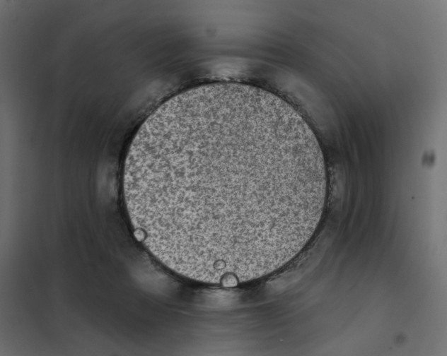 X0000102020313200808081755