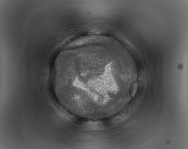 X0000102020314200808081755