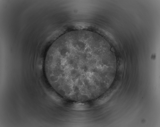 X0000102020315200808081755
