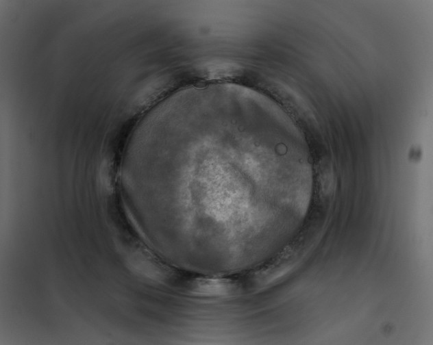 X0000102020316200808081755