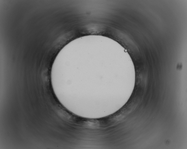 X0000102020317200808081755