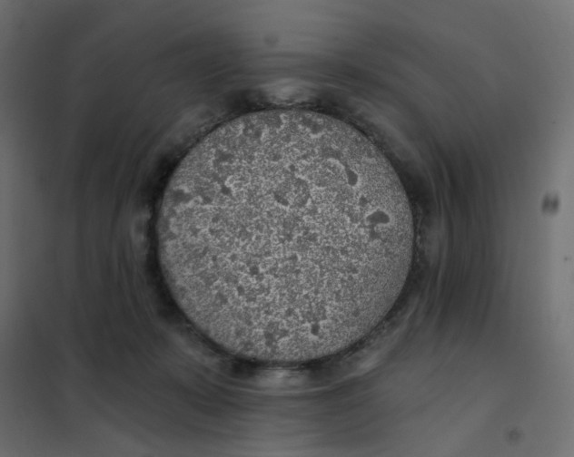 X0000102020319200808081755