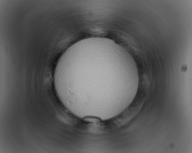 X0000102020320200808081755