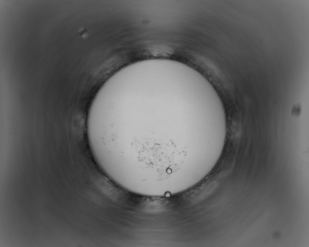 X0000102020321200808081755