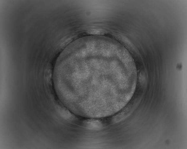 X0000102020322200808081755