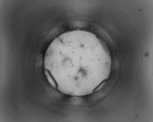 X0000102020328200808081754