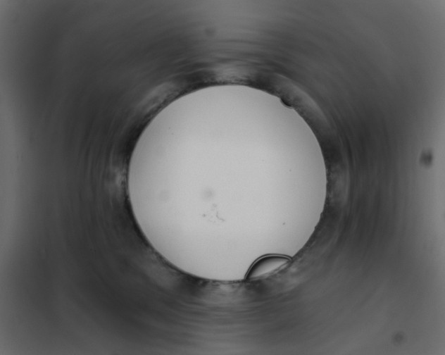 X0000102020329200808081754