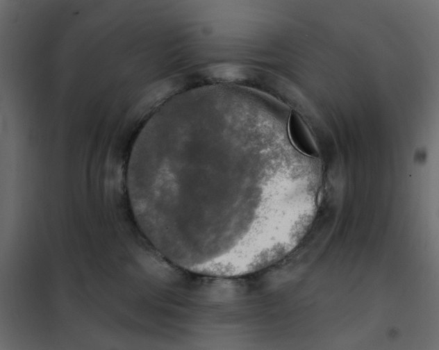 X0000102020330200808081754