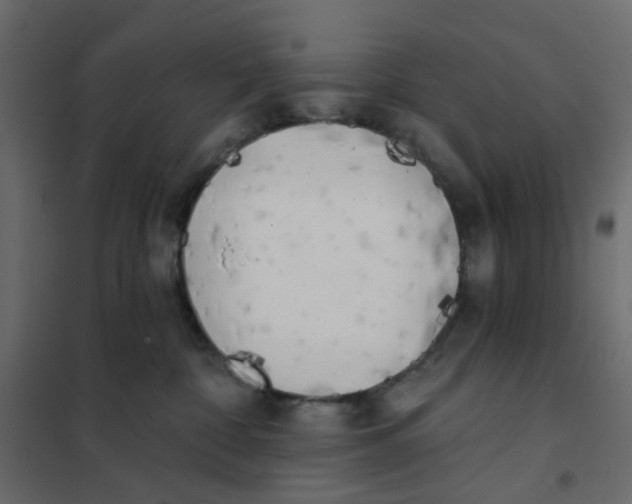 X0000102020332200808081754