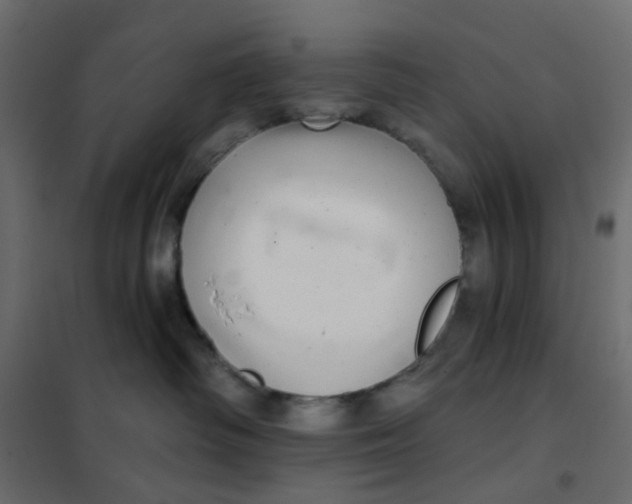 X0000102020334200808081754