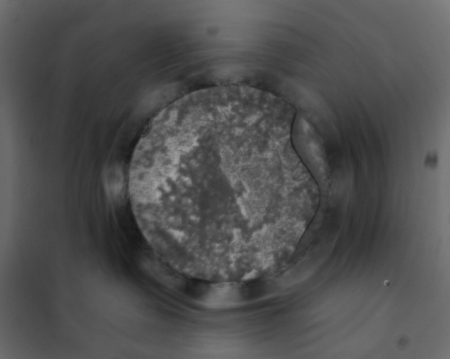 X0000102020335200808081754