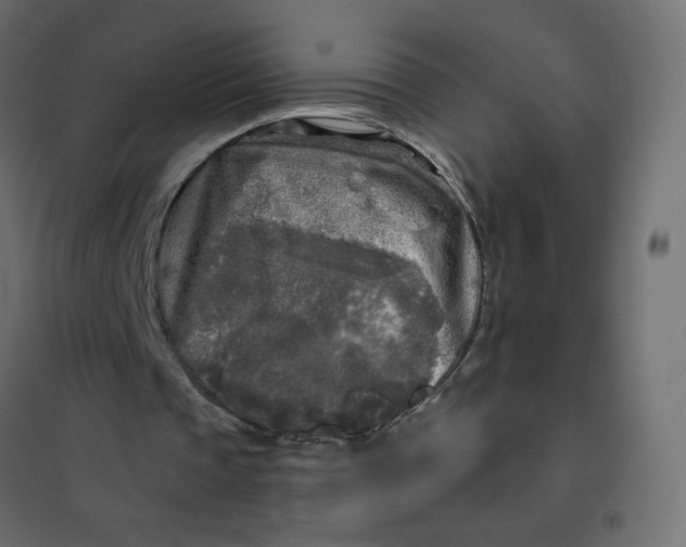 X0000102020337200808081754