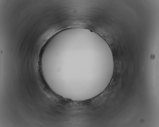 X0000102020338200808081754