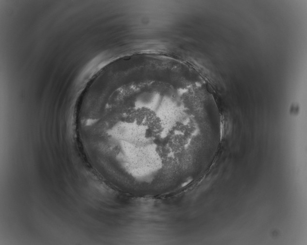 X0000102020339200808081754