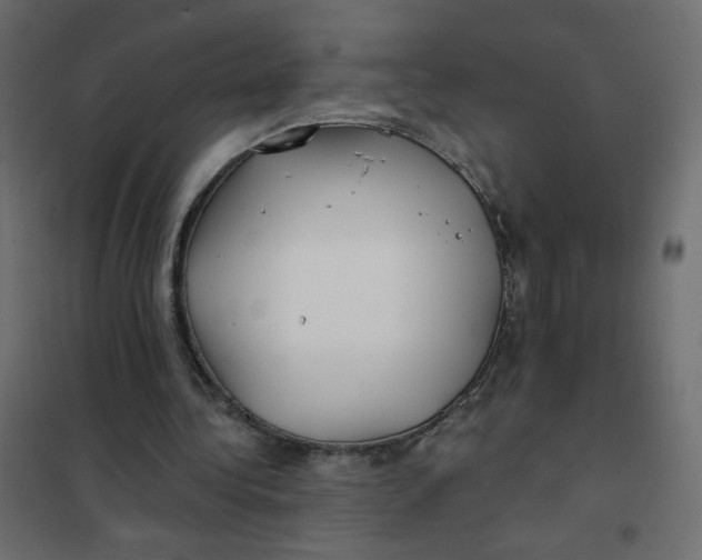X0000102020340200808081754