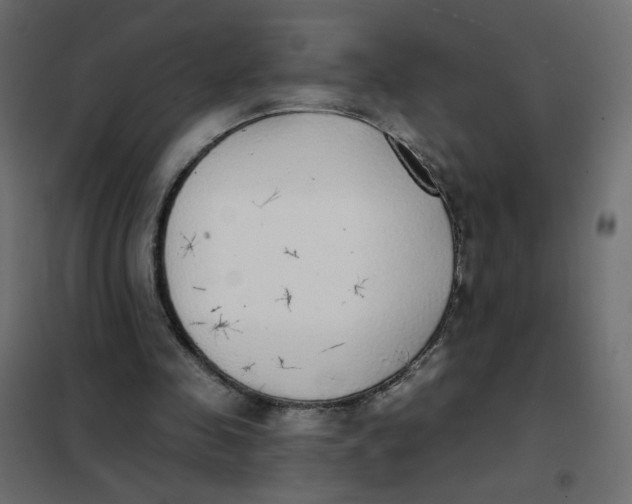 X0000102020341200808081754
