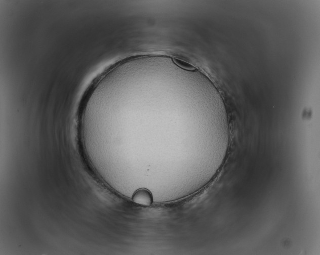 X0000102020342200808081754