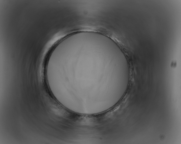 X0000102020343200808081754