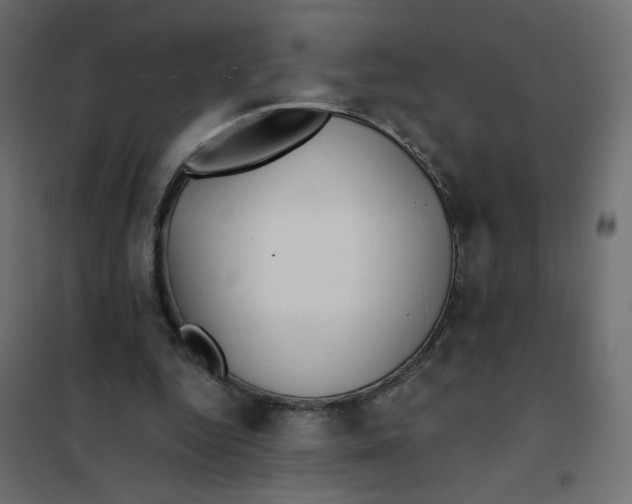 X0000102020344200808081754