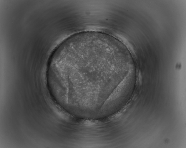 X0000102020346200808081754