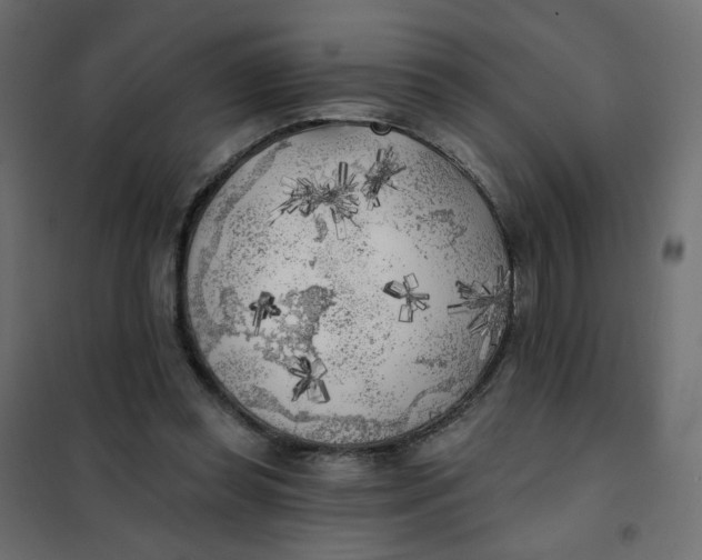 X0000102020349200808081754