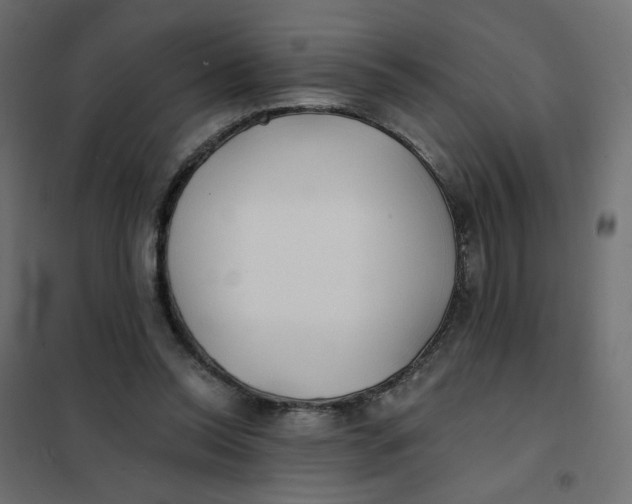 X0000102020350200808081754