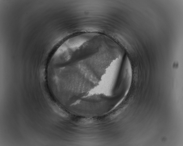 X0000102020351200808081754