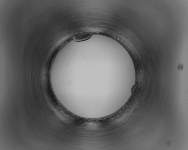 X0000102020352200808081754