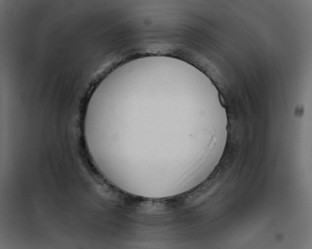 X0000102020354200808081754