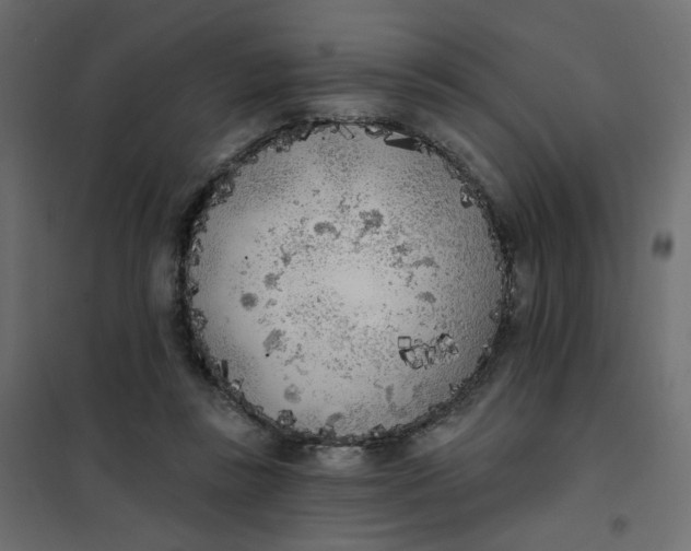 X0000102020355200808081754