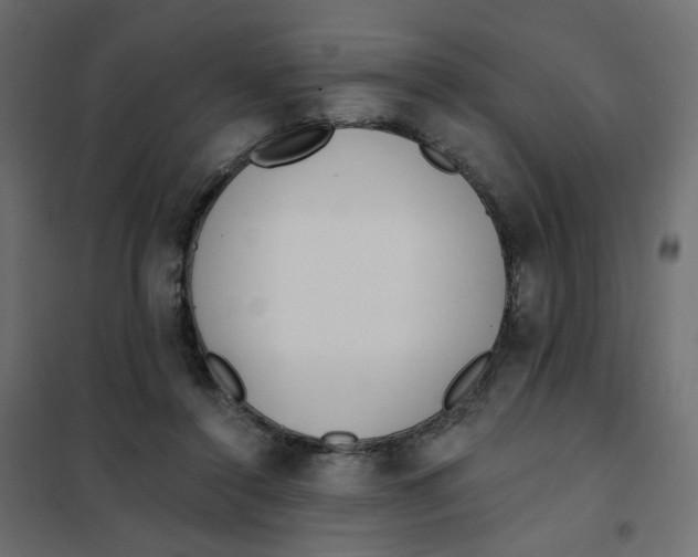 X0000102020356200808081754