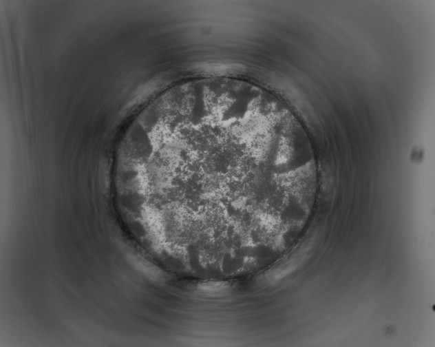 X0000102020357200808081754